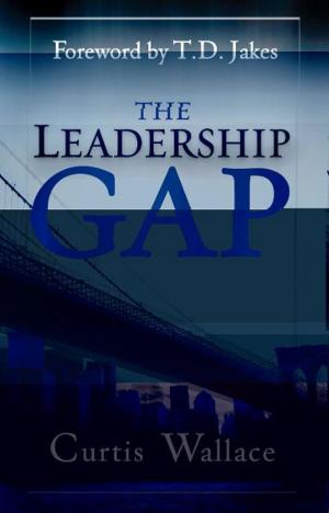 Cover of the book Leadership Gap: Motivate and Organize a Great Ministry Team by Becky Dvorak