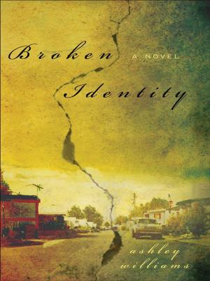 Book cover of Broken Identity