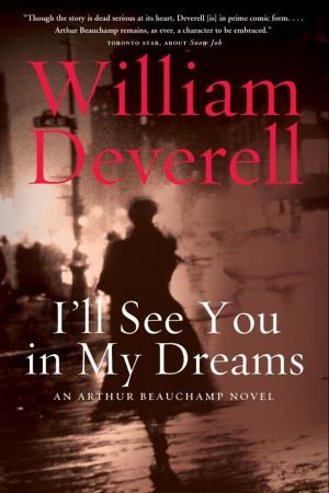 Cover of the book I'll See You in My Dreams by John Reibetanz