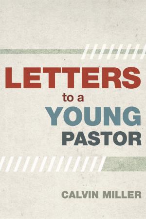 Cover of the book Letters to a Young Pastor by Stephen W. Smith