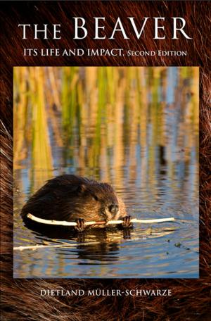 Cover of the book The Beaver by Suzanne Conklin Akbari