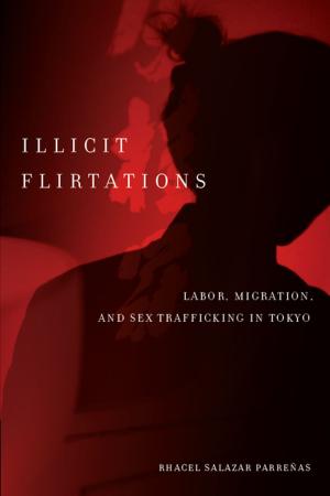 Cover of the book Illicit Flirtations by Susanne Bregnbaek