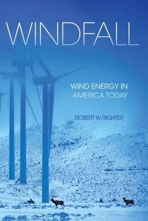 Cover of the book Windfall by Robin Varnum