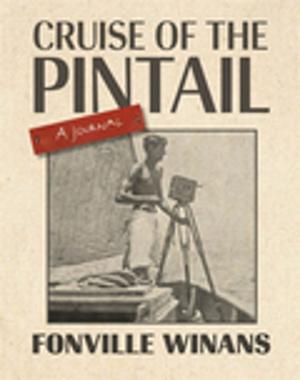 Cover of the book Cruise of the Pintail by Stephen L. Harp