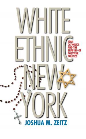 Cover of the book White Ethnic New York by Richard F. Wetzell