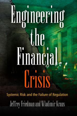 bigCover of the book Engineering the Financial Crisis by 