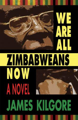 Book cover of We Are All Zimbabweans Now
