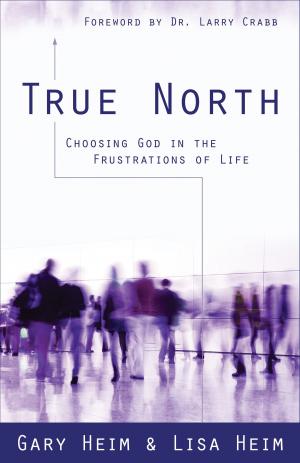 Cover of the book True North by Joanne Heim