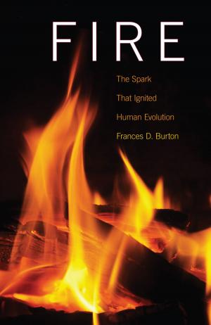 Cover of the book Fire by Kenneth Treister, Patricia Vargas Casanova, Claudio Cristino