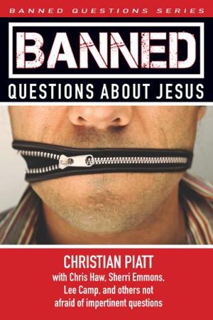 Cover of the book Banned Questions About Jesus by Sandhya Rani Jha