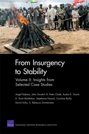 Cover of the book From Insurgency to Stability by David S. Ortiz, Aimee E. Curtright, Constantine Samaras, Aviva Litovitz, Nicholas Burger