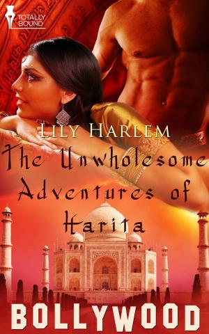 Book cover of The Unwholesome Adventures of Harita