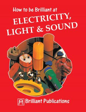 Cover of the book How to be Brilliant at Electricity, Light & Sound by Holger Weßling