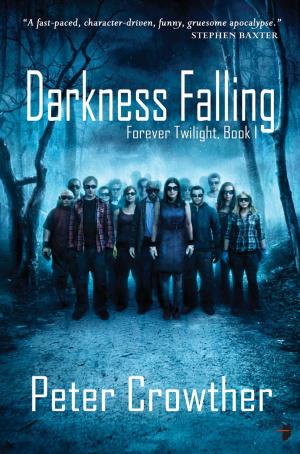 Book cover of Darkness Falling