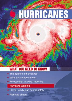 Cover of the book Hurricanes by Daniel MacMillan