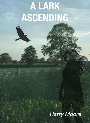 Book cover of A Lark Ascending