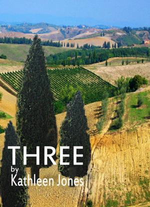 Book cover of Three and Other Stories