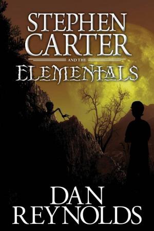Cover of the book Stephen Carter and the Elementals by Nicola Gothard