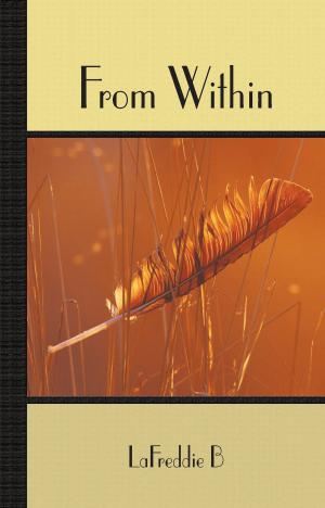 Cover of the book From Within by Hakan Öge