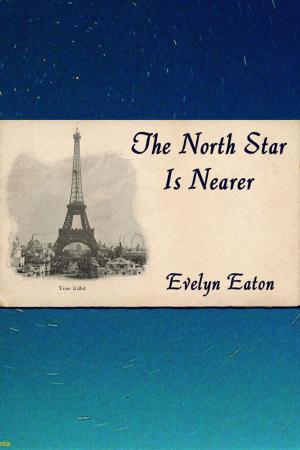 Book cover of The North Star is Nearer
