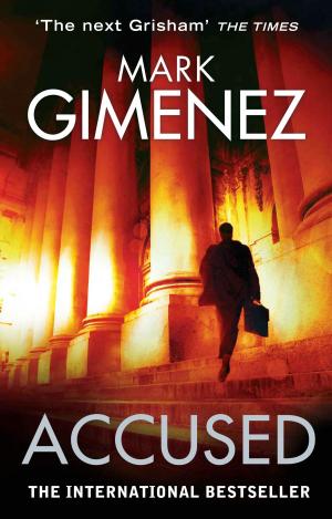 Cover of the book Accused by Beverley Carter