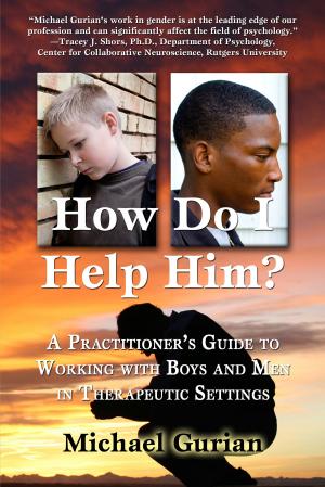 Book cover of How Do I Help HIm? A Practitioner's Guide To Working With Boys and Men in Therapeutic Settings