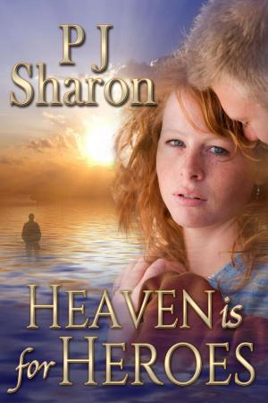 Book cover of Heaven is for Heroes