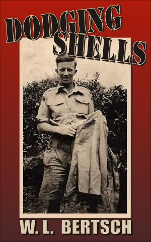 Cover of the book Dodging Shells by Anita Louise McCormick