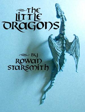 Cover of the book The Little Dragons by Tim Morrison