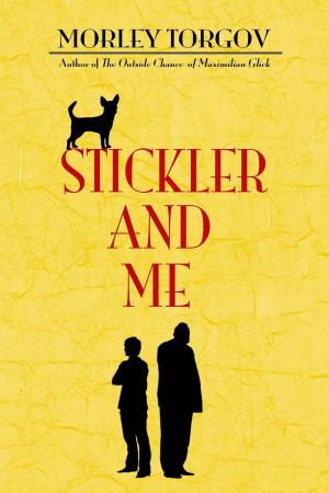 Cover of the book Stickler and Me by Lyn Hamilton