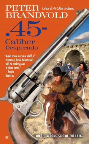 Cover of the book .45-Caliber Desperado by Susie Castillo