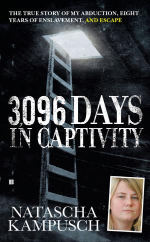 Cover of the book 3,096 Days in Captivity by Amanda Enayati