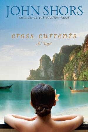 Cover of the book Cross Currents by Rebecca Fleet