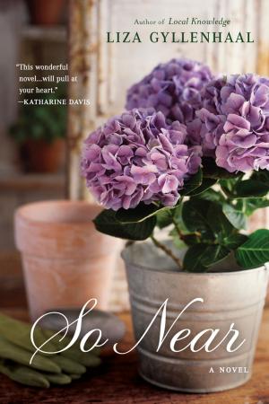 Cover of the book So Near by Carol K. Carr