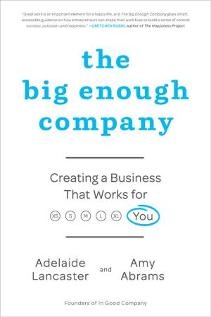 Cover of the book The Big Enough Company by Steven Casey