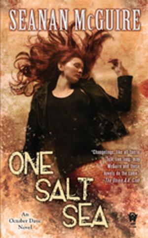 Cover of the book One Salt Sea by Seanan McGuire