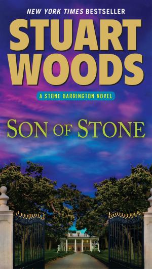 Cover of the book Son of Stone by Amber Benson