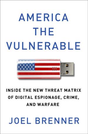 Cover of the book America the Vulnerable by Amir Aczel