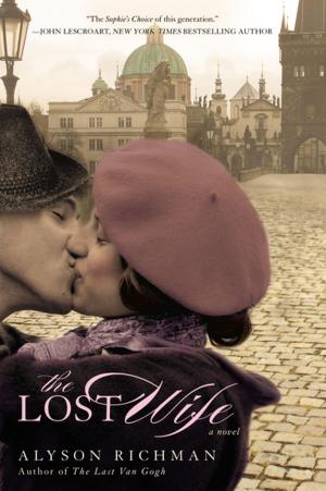 Cover of the book The Lost Wife by Jo Davis