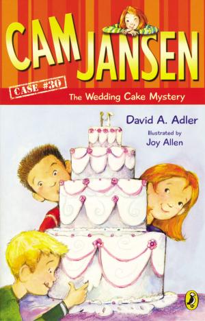 Cover of the book Cam Jansen: Cam Jansen and the Wedding Cake Mystery #30 by April Jones Prince, Who HQ