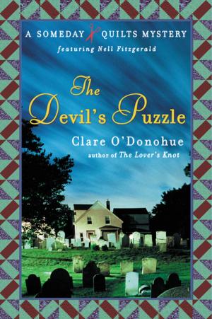 Cover of the book The Devil's Puzzle by Allan J. Hamilton, MD, FACS