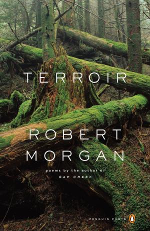 Cover of the book Terroir by M. Thomas Cooper
