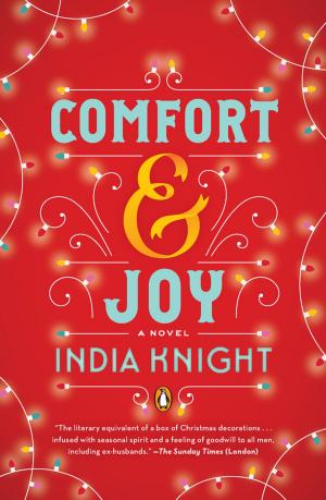 Cover of the book Comfort and Joy by Sheldon Rusch