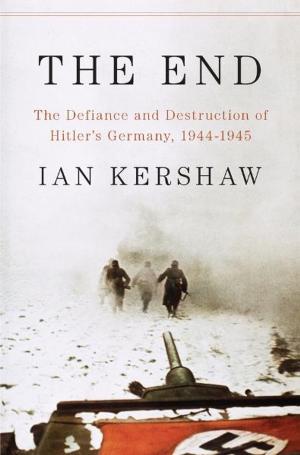 Cover of the book The End by Andrew Hilleman