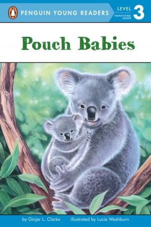 Cover of the book Pouch Babies by Henry Winkler, Lin Oliver