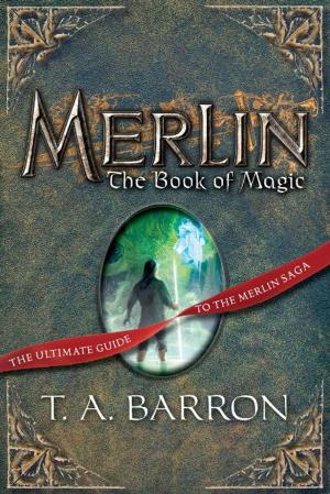 Cover of the book The Book of Magic by Mônica Carnesi