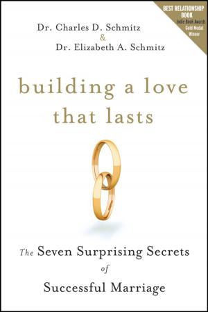Cover of the book Building a Love that Lasts by Frank (Xin X.) Zhu, Richard Hoehn, Vasant Thakkar, Edwin Yuh