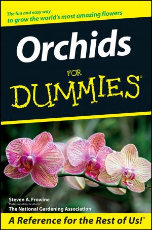 Cover of the book Orchids For Dummies by Faithe Wempen