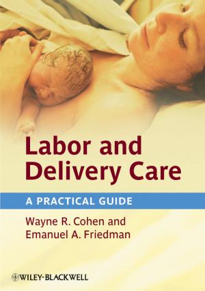 Cover of the book Labor and Delivery Care by Sherri Shafer