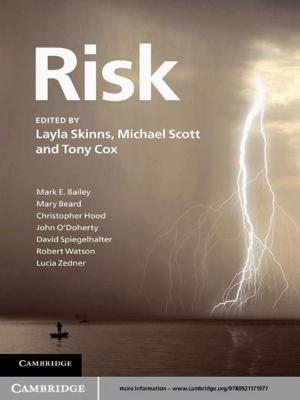 Cover of the book Risk by Hans-Rudolf Wenk, Andrei Bulakh